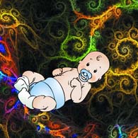 Inborn Knowledge by Colin McGinn